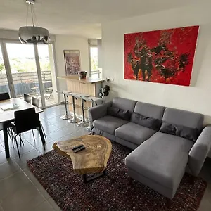 Coeur Toulousain Avec 2 Appartement Toulouse